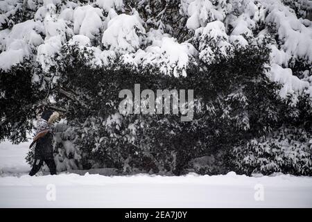 Bad Oeynhausen, Allemagne. 08 février 2021. Une femme va faire une promenade dans le parc thermal enneigé. Après le début de l'hiver, le grand froid arrive en Rhénanie-du-Nord-Westphalie. Selon les prévisions du service météorologique allemand à partir de lundi, les températures ne s'élèveront pas au-dessus de zéro degré même pendant la journée jusqu'au week-end (13./14.02.2021). Crédit : Lino Mirgeler/dpa/Alay Live News Banque D'Images