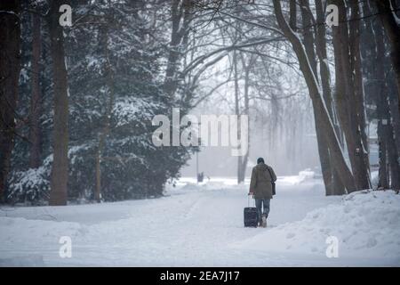 Bad Oeynhausen, Allemagne. 08 février 2021. Un homme marche avec une valise à roulettes à travers le Sielpark enneigé. Après le début de l'hiver, le grand froid arrive en Rhénanie-du-Nord-Westphalie. Selon les prévisions du service météorologique allemand à partir de lundi, les températures ne s'élèveront pas au-dessus de zéro degré jusqu'au week-end (13./14.02.2021), même pendant la journée. Crédit : Lino Mirgeler/dpa/Alay Live News Banque D'Images