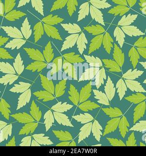 Motif fleuri vectoriel élégant et tendance sans couture de feuilles vertes fraîches. Texture répétée arrière-plan foliant pour l'impression et le textile Illustration de Vecteur