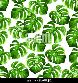 Motif vectoriel tropical sans couture avec feuilles de monstère vertes sur fond blanc. Illustration de Vecteur