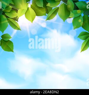 illustration vectorielle eps avec feuillage vert et réaliste nature bleu ciel nuages arrière-plan extérieur Illustration de Vecteur
