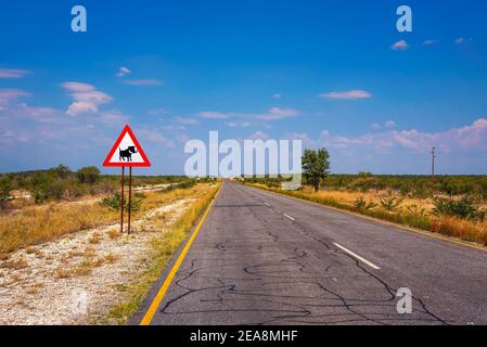 Panneau d'avertissement de passage de Warthogs placé le long d'une route en Namibie Banque D'Images