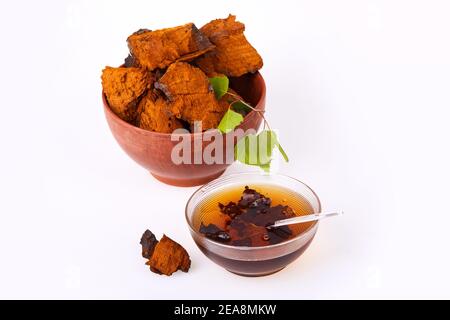 Morceaux de champignons chaga, bol à thé en verre décoré de feuilles de bouleau vert isolées sur fond blanc, gros plan. Inonotus obliquus. Banque D'Images