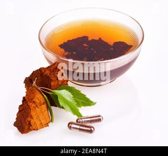 Morceaux de champignons chaga, bol à thé en verre décoré de feuilles de bouleau vert isolées sur fond blanc, gros plan. Inonotus obliquus. Banque D'Images