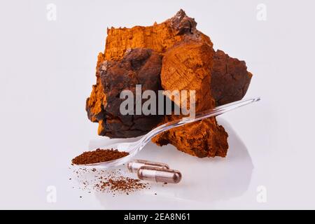 Morceaux de champignons chaga, cuillère transparente avec poudre, tasse à thé en verre et capsules de gelée transparentes isolées sur fond blanc, gros plan. Banque D'Images