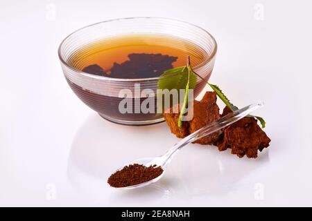 Morceaux de champignons chaga, cuillère transparente avec poudre, tasse à thé en verre et capsules de gelée transparentes isolées sur fond blanc, gros plan. Banque D'Images