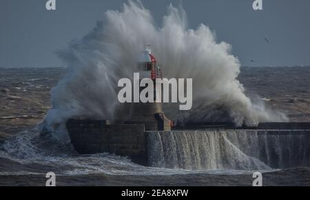 NORTH SHIELDS, ANGLETERRE. 8 FÉVR. Des vagues géantes battent le phare de South Shields alors que le 'Sunm Darcy' frappe la côte nord-est de l'Angleterre le lundi 8 février 2021. (Crédit : Paul Jackson | MI News) crédit : MI News & Sport /Alay Live News Banque D'Images