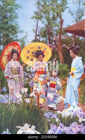 Une impression couleur du début du XXe siècle de femmes japonaises et un enfant admirant un jardin d'iris vers 1920 par le Photographe Walter Weston Banque D'Images