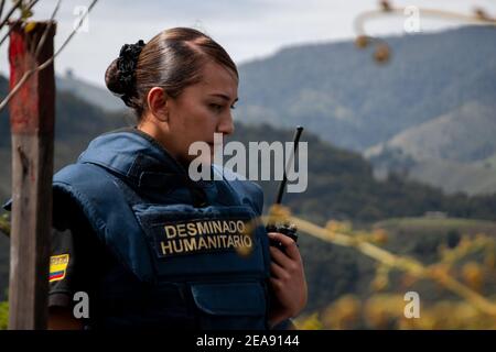 Huila, Colombie. 03ème février 2021. Le lieutenant-colonel Guido, du bataillon numéro 5 pour le déminage, participe à une mission de déminage le long de la rivière Blanco. Les groupes armés ont été au travail dans la région. À la fin de 2016, l'organisation de guérilla des FARC et le gouvernement avaient mis fin à des décennies de conflit avec quelques 220,000 000 morts et des millions de personnes déplacées dans le pays sud-américain avec un accord de paix. La plupart des guérilleros ont déposé leurs armes. Cependant, de nombreux guérilleros sont retournés dans le sous-sol. Credit: Vannesa Jimenez G./dpa/Alay Live News Banque D'Images