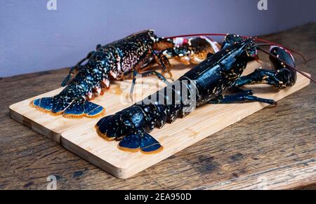 Homard frais sur une planche de bois de homard cru Banque D'Images