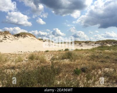 Impressionnantes dunes dans le parc national de Slowinski près de Leba, Pologne Banque D'Images