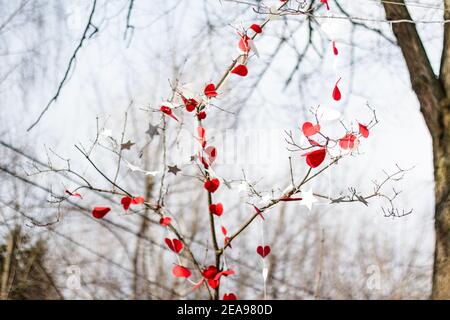 Flou artistique sur les cœurs de papier. Décorations de Saint-Valentin dans le parc. Cœur fait main rouge et blanc. Les arbres du parc sont décorés de blanc et de rouge Banque D'Images