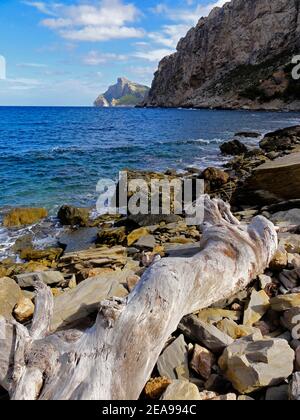 Débris de plage à Cala Bóquer près de Puerto Pollenca, Majorque, Iles Baléares, Espagne Banque D'Images