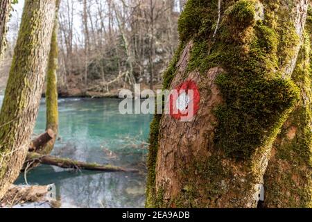 Marque d'arbre rouge et blanche utilisée comme indication du chemin dans la forêt pour les personnes marchant autour de la rivière Slunjcica, Croatie Banque D'Images