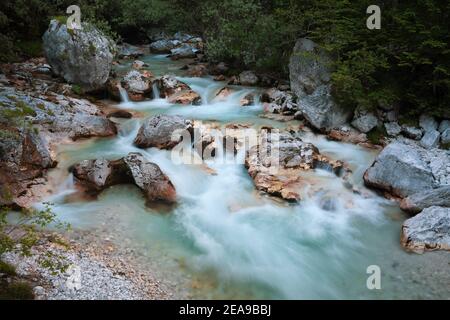 La rivière émeraude Soča dans son cours supérieur avec de nombreux rapides et rochers dans le lit de la rivière Banque D'Images