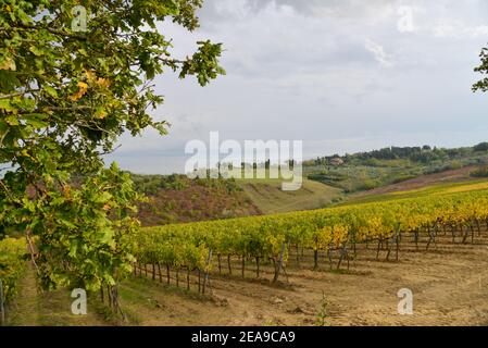 Paysage près de Florence en Toscane, Italie Banque D'Images