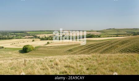 Vue vers Cherhill Down et le Monument Lansdowne depuis Morgan's Hill, Marlborough Downs, près de Calne, Wiltshire, Royaume-Uni, juillet 2020. Banque D'Images