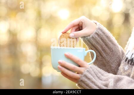 Vue latérale gros plan des mains de femme qui plonchent le cookie dans tasse de café dans un parc Banque D'Images