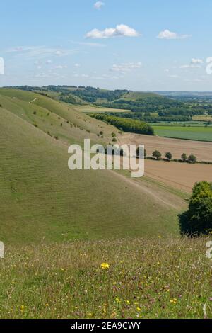 Pewsey Downs et The Vale of Pewsey, vus de Knap Hill en été, près de Devozes, Wiltshire, Royaume-Uni, juillet. Banque D'Images