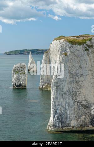 Les Pinnacles et les falaises de craie blanche de Handfast point, en direction de l'ouest vers Durlston Head, Swanage, Dorset, Royaume-Uni, août 2020. Banque D'Images