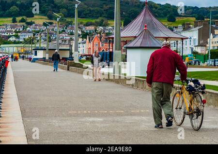 Un homme âgé marche à vélo sur le front de mer de la promenade de Bray, par une journée d'automne grise. Bray, comté de Wicklow, Leinster, Irlande, Europe Banque D'Images