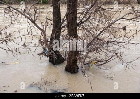 Rome, Italie 03/02/2021: Le fleuve Tevere après l'inondation. © Andrea Sabbadini Banque D'Images