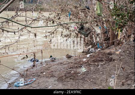 Rome, Italie 03/02/2021: Le fleuve Tevere après l'inondation. © Andrea Sabbadini Banque D'Images