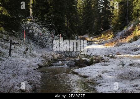 Autriche, Tyrol, Leutasch, Leutaschtal, Gaistal, montagnes, alpes, montagnes de Wetterstein, paysage de montagne, paysage de montagne, idylle, ruisseau, atmosphère, givre, ciel, rochers, tourisme, fin de l'automne, nature, arbres Banque D'Images