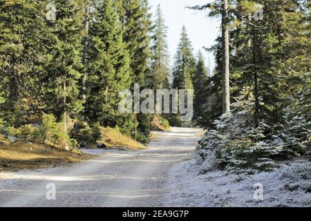 Autriche, Tyrol, Leutasch, Leutaschtal, Gaistal, montagnes, alpes, montagnes Wetterstein, paysage de montagne, paysage de montagne, idylle, atmosphérique, givre, ciel, rochers, tourisme, fin de l'automne, nature, arbres, route, route, chemin Banque D'Images