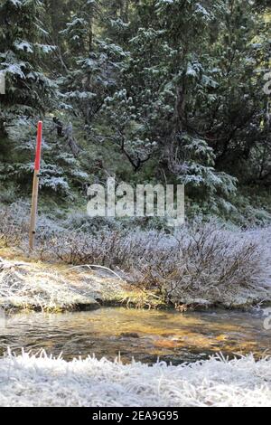 Autriche, Tyrol, Leutasch, Leutaschtal, Gaistal, montagnes, alpes, montagnes de Wetterstein, paysage de montagne, paysage de montagne, idylle, ruisseau, atmosphère, givre, ciel, rochers, tourisme, fin de l'automne, nature, arbres Banque D'Images