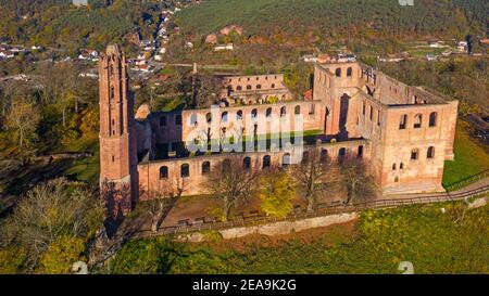 Ruines du monastère de Limbourg, route des vins du Palatinat, Bad Duerkheim, route des vins allemande, Forêt du Palatinat, Rhénanie-Palatinat, Allemagne Banque D'Images