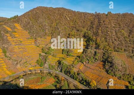 Vignobles dans la vallée de l'Ahr près de Mayschoss, Rhénanie-Palatinat, Allemagne Banque D'Images