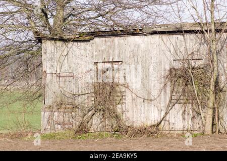 Partie d'un petit hangar en bois délabré sur les terres agricoles Banque D'Images