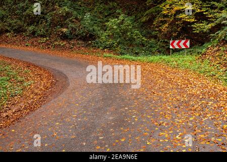 L'automne part sur la route de campagne près de Kastel-Staadt, Rhénanie-Palatinat, Allemagne Banque D'Images