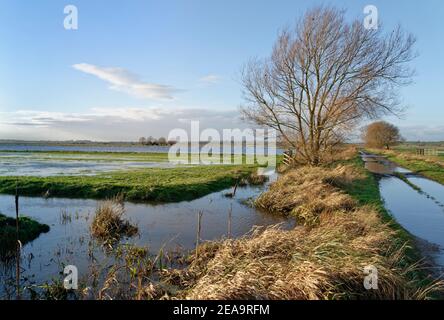 Vue sur les pâturages partiellement inondés et la piste de ferme sur West Sedgemoor après une période de forte pluie, Somerset Levels, Royaume-Uni, décembre 2020. Banque D'Images