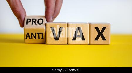 Symbole Pro-vax ou anti-vax. Le médecin transforme un cube, change les mots 'anti-vax' en 'pro-vax'. Belle table jaune, fond blanc. Copier l'espace. Entreprise Banque D'Images