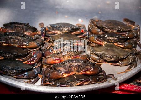 Crabes arrangés, marché, Ho Chi Minh ville, Vietnam Banque D'Images