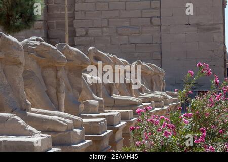 Temple de Karnak, Louxor, Egypte Banque D'Images