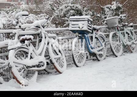 Vélos couverts de neige en Hollande Banque D'Images