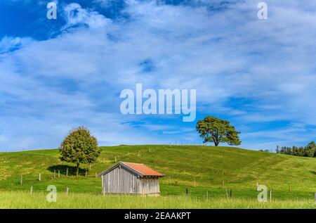 Allemagne, Bavière, haute-Bavière, Tölzer Land, Dietramszell, quartier Ascholding, paysage culturel Banque D'Images