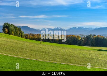 Allemagne, Bavière, haute-Bavière, Tölzer Land, Dietramszell, Peretshofen district, Peretshofer Höhe, paysage culturel contre la chaîne alpine avec le Vorkarwendel Banque D'Images