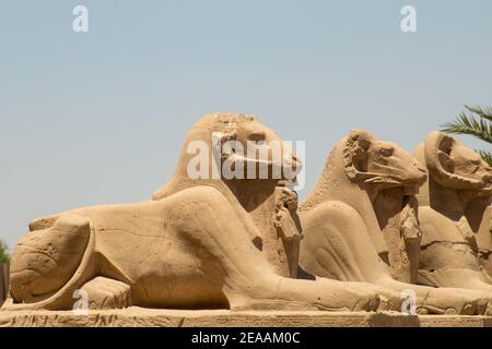 Temple de Karnak, Louxor, Egypte Banque D'Images