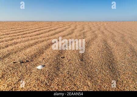 Belle plage de sable vide ou texture désertique. Banque D'Images