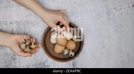 la fille fait des mains pliantes de poulet et des oeufs de caille dans un plaque en argile Banque D'Images