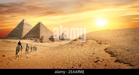 Caravane de chameaux et les pyramides de Gizeh en Egypte Banque D'Images