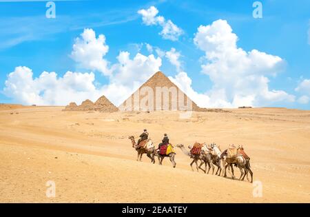Des chameaux dans le désert de sable près des montagnes au coucher du soleil Banque D'Images