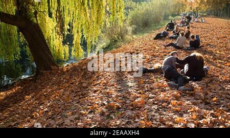 Couple affectueux, étudiants, jeunes, se détendre pendant le confinement dans l'avenue de l'avion d'automne, crise de Corona, Tübingen, Bade-Wurtemberg, Allemagne Banque D'Images