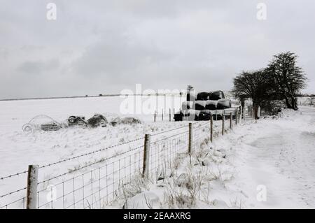 LONGSTONE Edge en hiver Banque D'Images