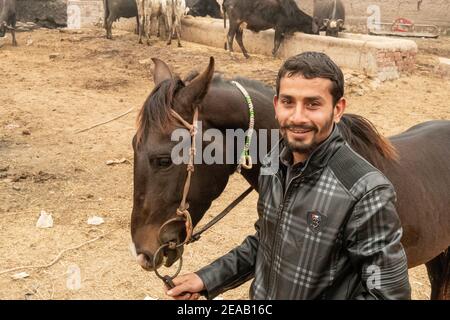 Formation de chevaux-dansants, vie rurale, Punjab, Pakistan Banque D'Images