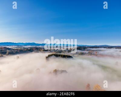 Brouillard sur les contreforts alpins bavarois près de Bernried, haute-Bavière, Bavière Allemagne, Europe Banque D'Images